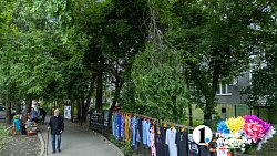 В Челябинске с начала года разрешили срубить почти 1000 деревьев