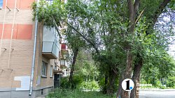 В Челябинске с начала года разрешили срубить почти 1000 деревьев