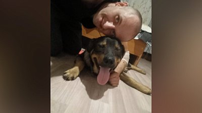 Школьница из Челябинской области помогла вернуть пса хозяину после ДТП