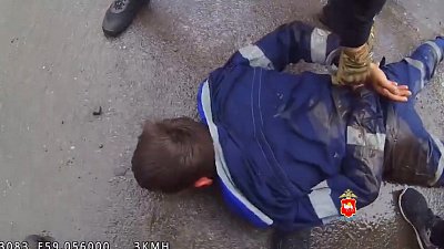 В Челябинской области задержали расхитителей садовых участков 