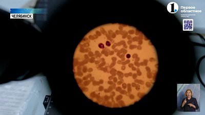 В стране заметили продукты с мясным клеем