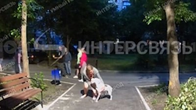 В Челябинске питбули пугают жителей дома по улице Свободы