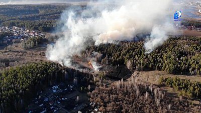 В лесах Миасса сохраняется высокая пожарная опасность