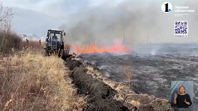 Сотрудники МЧС напомнили южноуральцам о правилах пожарной безопасности в лесах