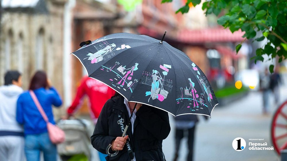 Холодную и дождливую погоду обещают в Челябинской области на предпоследней неделе июля