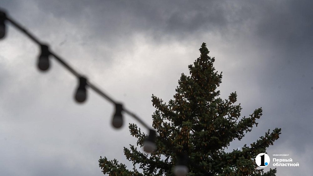 Похолодание до +16 градусов и ливни с грозами ожидаются в Челябинской области 22 июля