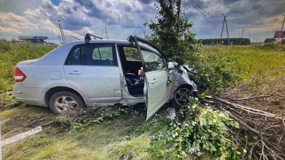В Челябинской области автомобилист погиб, наехав на куст