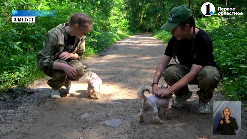 Школьница из Златоуста помогла вернуть собаку хозяину