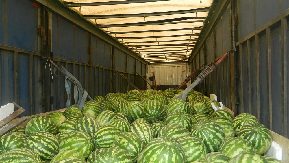 Челябинские таможенники развернули на границе фуры с дынями и арбузами