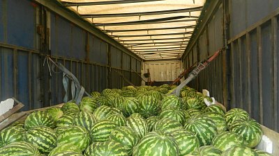 Челябинские таможенники развернули на границе фуры с дынями и арбузами