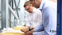 В Челябинской области открылся селекционно-семеноводческий центр