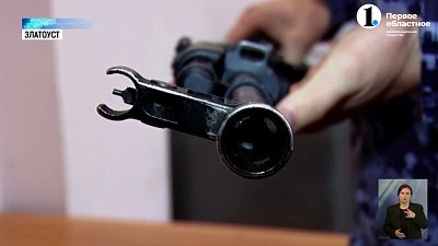 В Челябинской области действует профилактическое мероприятие «Оружие-2024»