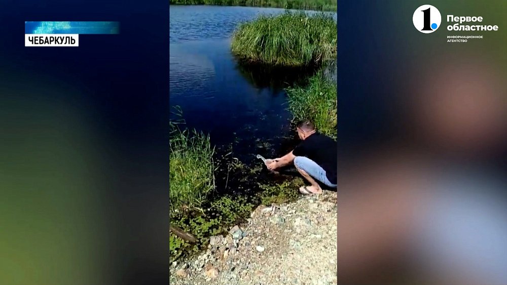 Жители поселка Южный спасли лебедя