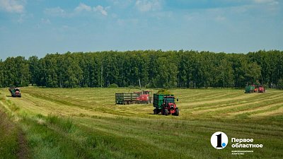В Челябинской области обнулили сельхозналог для всех аграриев