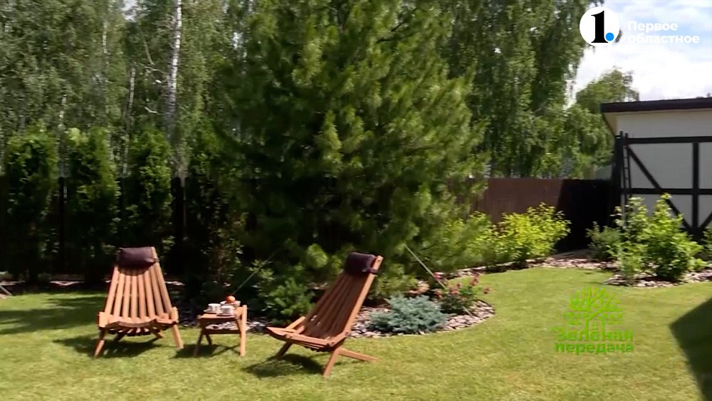 Особенности благоустройства небольшого участка