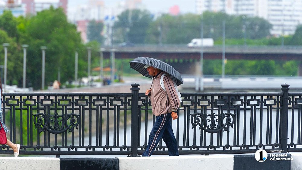 Дожди в Челябинской области ослабнут к воскресенью