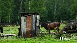 Вода ушла, но поселок завален мусором — как выглядит Киолим после потопа