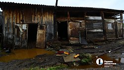 Алексей Текслер пообщался с пострадавшими жителями поселка Киолим