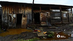 Жители подтопленного Киолима начали возвращаться в свои дома