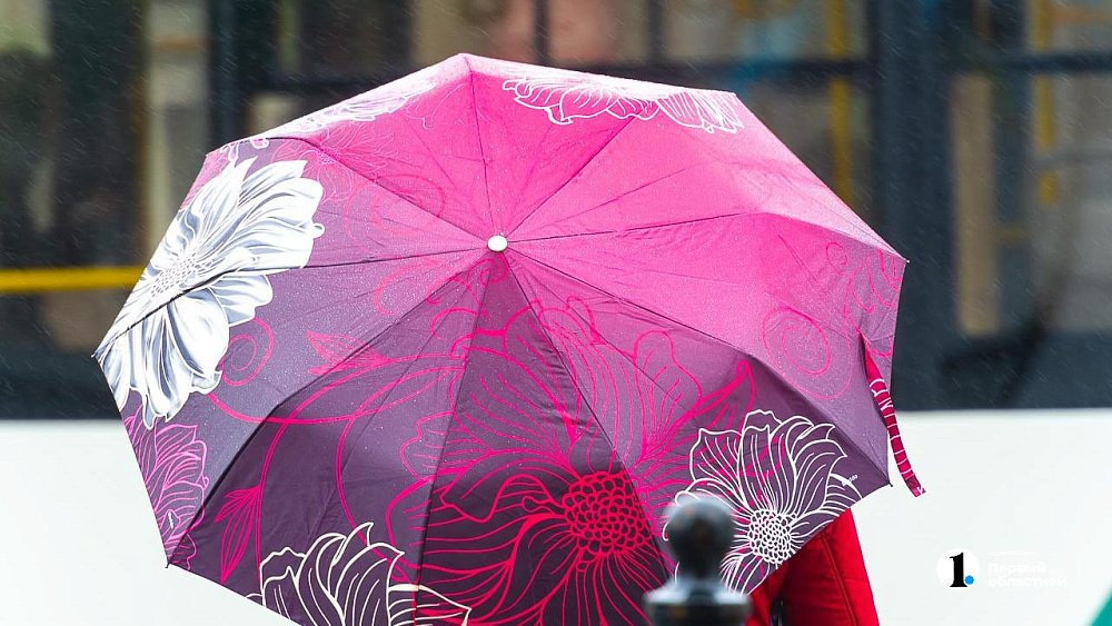 Интенсивность осадков снизится в Челябинской области 28 июля