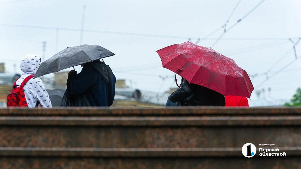 Дожди и потепление до +24 градусов прогнозируют в Челябинской области 29 июля