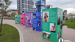 На набережной Миасса в Челябинске два месяца будут выступать артисты, спикеры и спортсмены