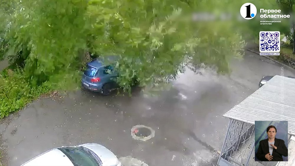 В Челябинске дерево упало на машину и едва не погубило местную жительницу