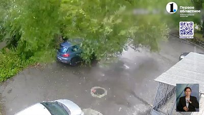 В Челябинске дерево упало на машину и едва не погубило местную жительницу