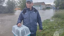В Челябинской области сотрудники МЧС спасли из подтопленных территорий животных