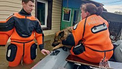 В Челябинской области сотрудники МЧС спасли из подтопленных территорий животных