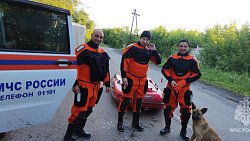 В Челябинской области сотрудники МЧС спасли из подтопленных территорий животных