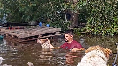 Владельцы челябинского приюта «Наш дом» спасают животных из затопленных районов