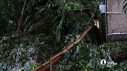 Ветер сорвал изоляцию с крыши многоквартирного дома в Челябинске