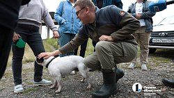 Губернатор Алексей Текслер осмотрел подтопленные улицы в Миассе и поговорил с жителями