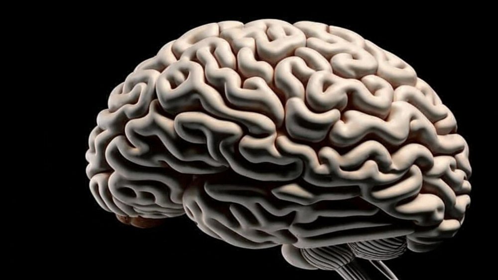 Пристрастие к алкоголю может привести к энцефалопатии