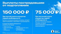 Минсоц Челябинской области: для первоначальных выплат нужен минимальный пакет документов