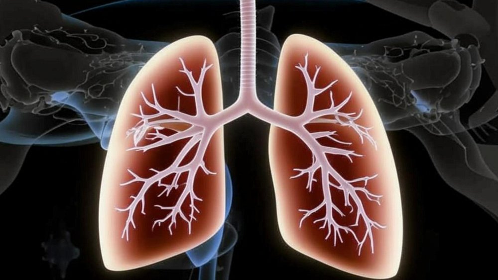 Комбинированное курение обычных и электронных сигарет в разы приближает рак