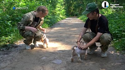 Школьница из Златоуста помогла вернуть собаку хозяину