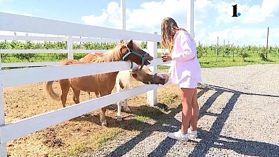 Челябинская область стала лидером в сфере агротуризма