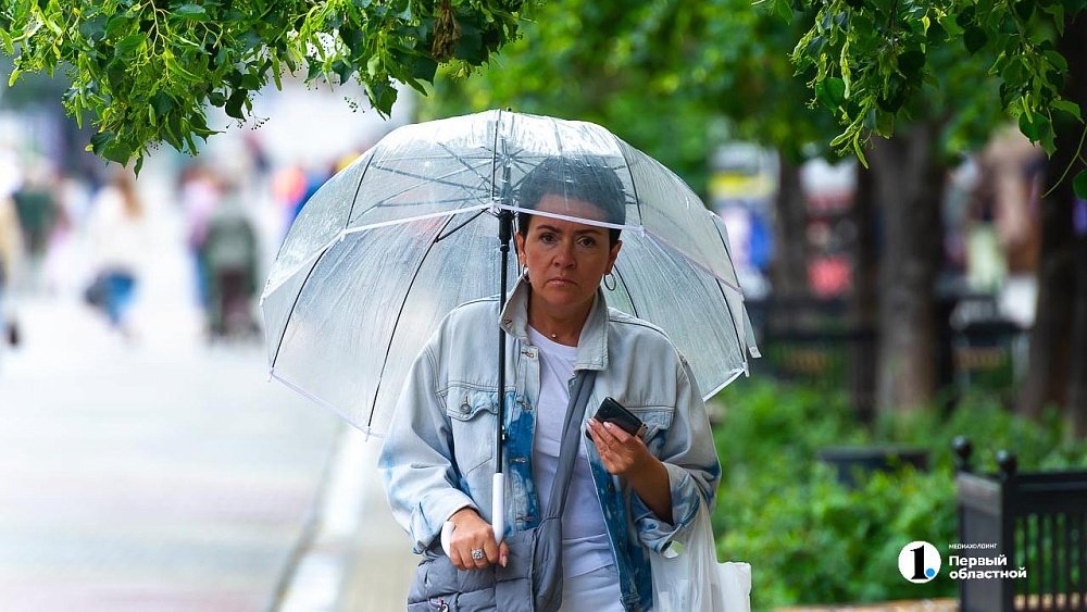 Умеренно тепло и дождливо будет в Челябинской области на этой неделе
