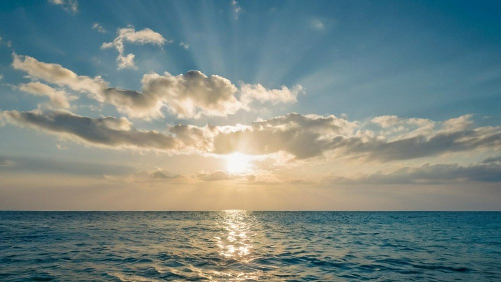 Живет ли в море ротавирус