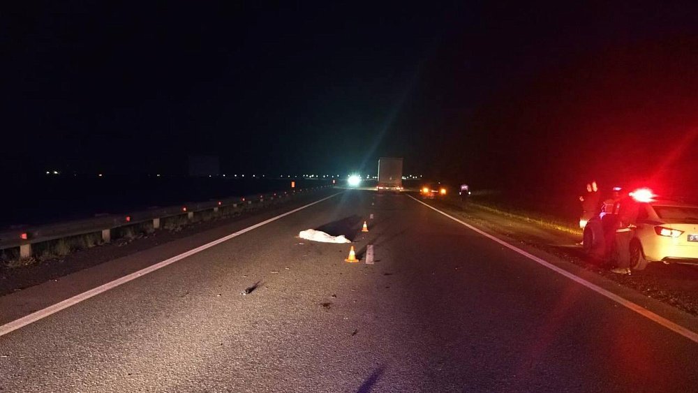 На трассе в Челябинской области насмерть сбили женщину