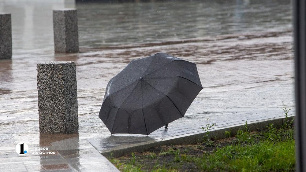 День 6 августа в Челябинской области выдастся теплым и дождливым