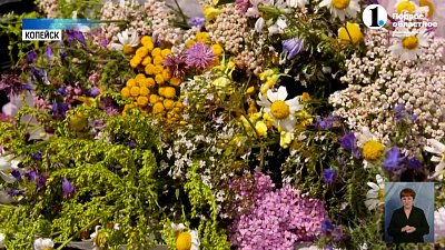 Как сделать букет из полевых цветов?