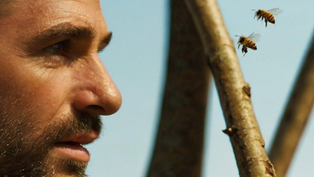 Что делать при укусе пчелы