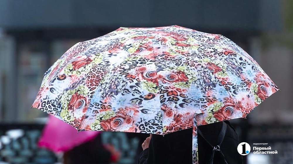Дожди с грозами и максимум +26 градусов обещают в Челябинской области 7 августа