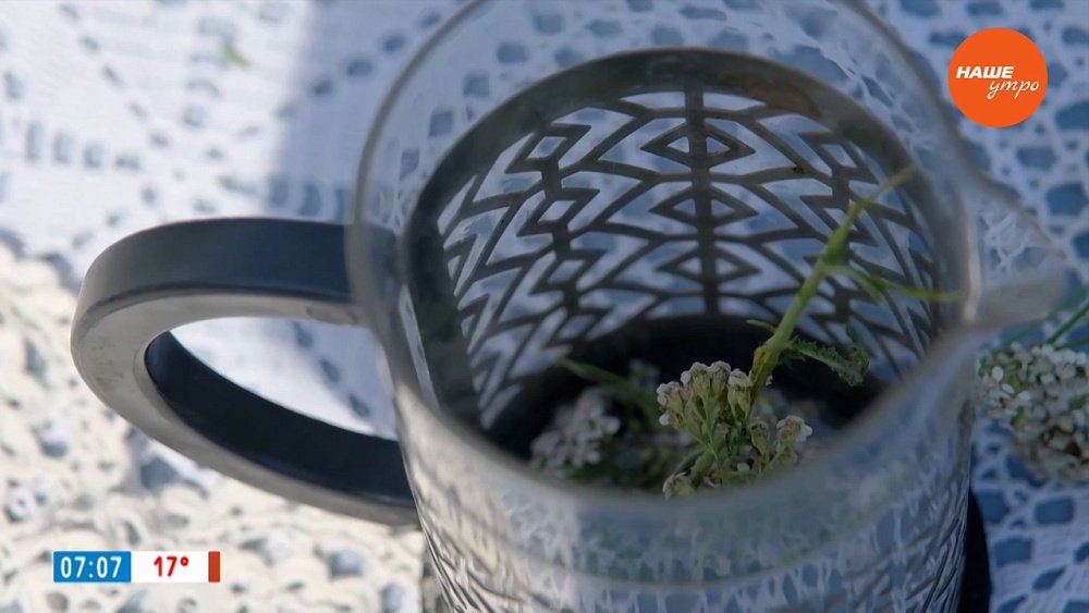 Завариваем тысячелистник в рубрике «Время пить чай»