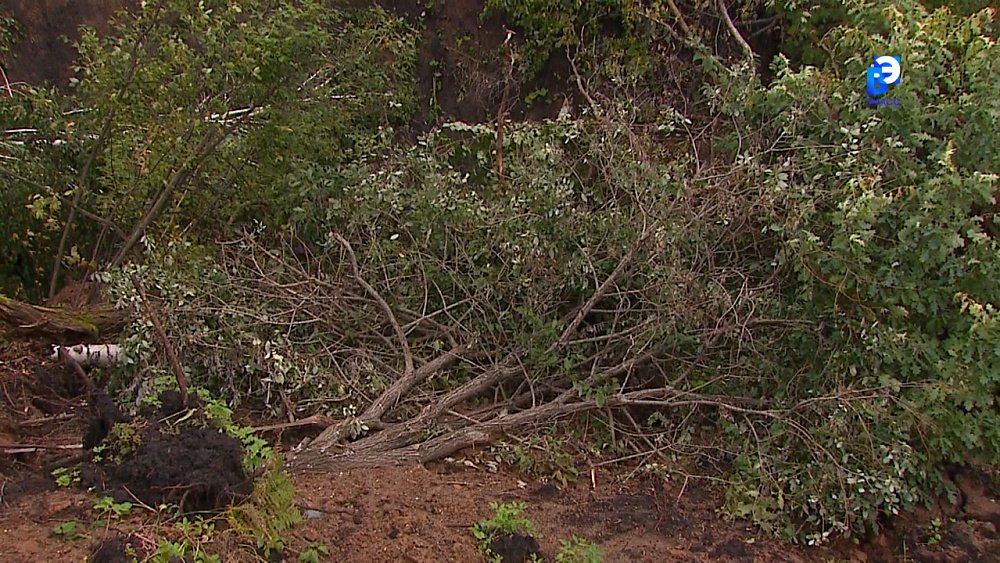 Жители миасского СНТ обеспокоены возникновением оползня