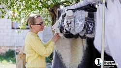 В Челябинской области соберутся мастера народных промыслов