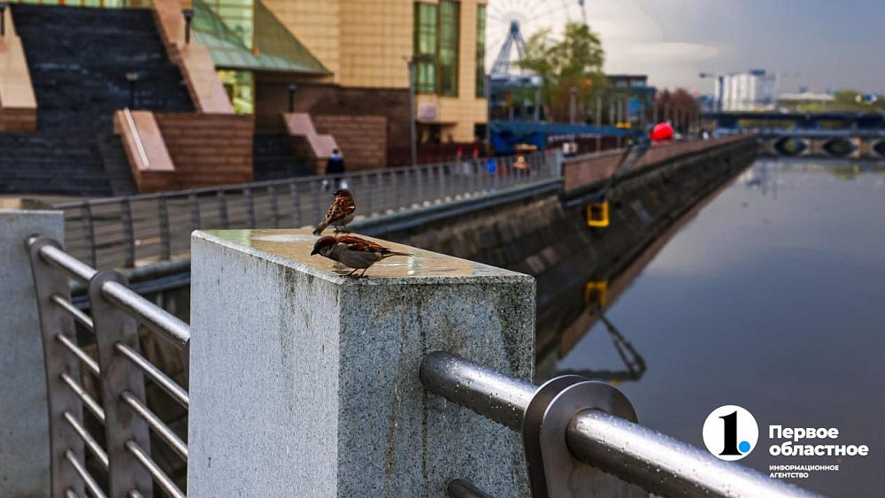 Дождливая погода «приклеилась» к Челябинской области